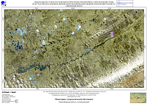 Гидрологическая обстановка на юге Западной Сибири по
спутниковым данным

 за 8 апреля
2024 г.