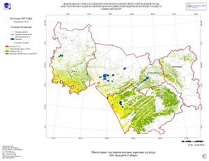 Спутниковый мониторинг состояния посевов
сельскохозяйственных культур на юге Западной Сибири с 14 июня по 4 июля 2024 г.
